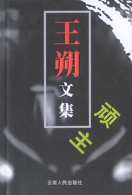 顽主pdf epub mobi 下载