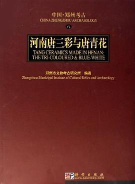 河南唐三彩与唐青花 pdf epub mobi 电子书 下载