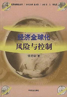 经济全球化:风险与控制