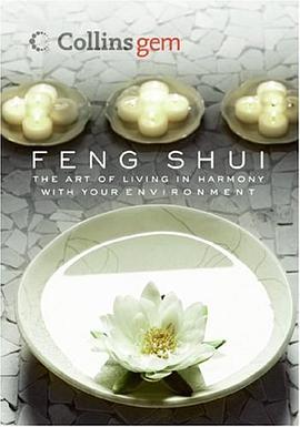 Feng Shui pdf epub mobi 电子书 下载