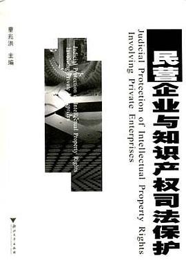 民营企业与知识产权司法保护 pdf epub mobi 电子书 下载