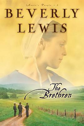 The Brethren pdf epub mobi 电子书 下载