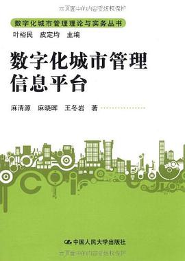 数字化城市管理信息平台 pdf epub mobi 下载
