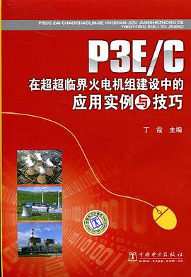 P3E/C在超超临界火电机组建设中的应用实例与技巧 pdf epub mobi 电子书 下载