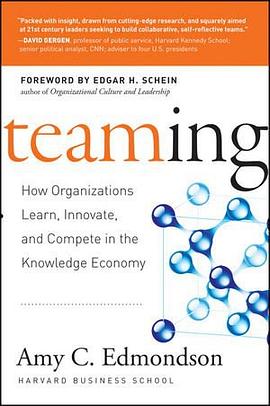 Teaming pdf epub mobi 电子书 下载