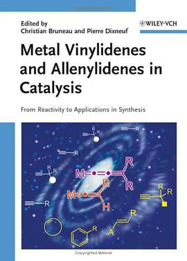 Metal Vinylidenes and Allenylidenes in Catalysis pdf epub mobi 电子书 下载