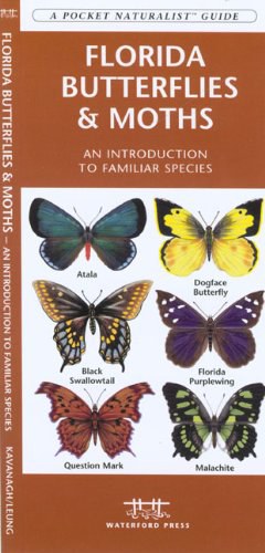 Florida Butterflies & Moths pdf epub mobi 电子书 下载
