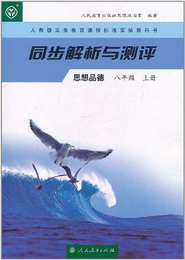 人教版义务教育课程标准实验教科书·同步解析与测评（8年级上册） pdf epub mobi 电子书 下载