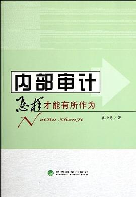 内部审计 pdf epub mobi 电子书 下载