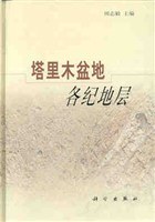 塔里木盆地各纪地层 pdf epub mobi 电子书 下载