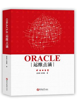 ORACLE运维点滴 pdf epub mobi 电子书 下载