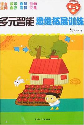 多元智能思维拓展训练 pdf epub mobi 电子书 下载