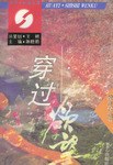 穿过欲望 pdf epub mobi 电子书 下载