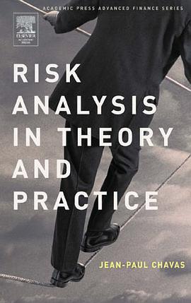 Risk Analysis in Theory and Practice pdf epub mobi 电子书 下载