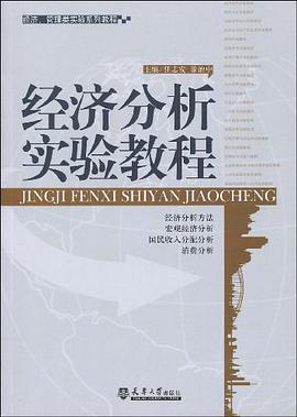 经济分析实验教程 pdf epub mobi 电子书 下载
