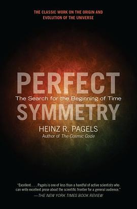 Perfect Symmetry pdf epub mobi 电子书 下载