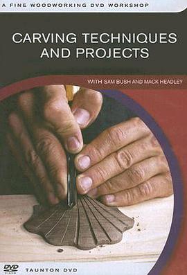 Carving Techniques and Projects pdf epub mobi 电子书 下载