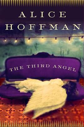 The Third Angel pdf epub mobi 电子书 下载