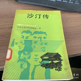 沙汀传(平)作家传记丛书 pdf epub mobi 电子书 下载