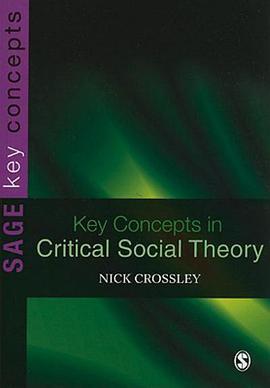 Key Concepts in Critical Social Theory pdf epub mobi 电子书 下载