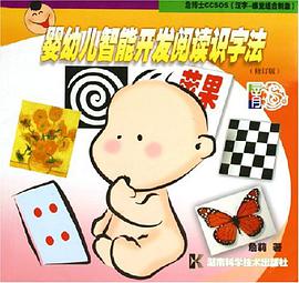 婴幼儿智能开发阅读识字法 pdf epub mobi 电子书 下载
