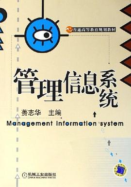 管理信息系统 pdf epub mobi 下载