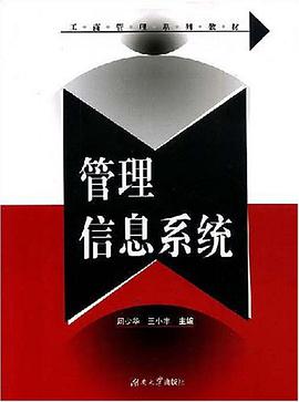 管理信息系统 pdf epub mobi 电子书 下载