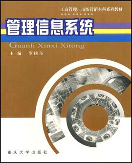 管理信息系统 pdf epub mobi 电子书 下载