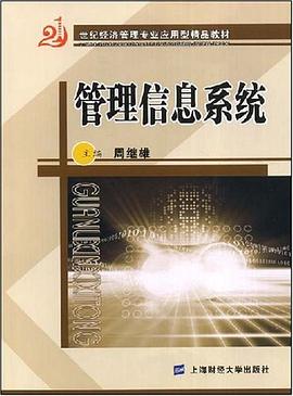 管理信息系统 pdf epub mobi 电子书 下载