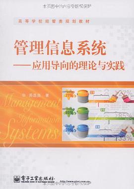 管理信息系统 pdf epub mobi 下载
