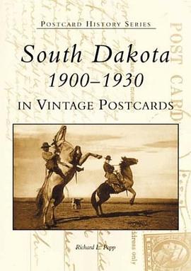 South Dakota Postcards pdf epub mobi 電子書 下載