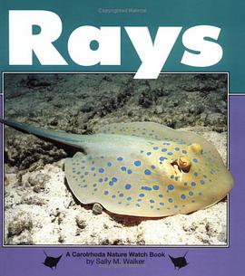 Rays pdf epub mobi 电子书 下载