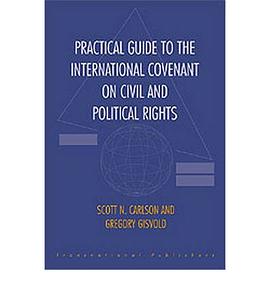 Practical Guide to the International Covenant on Civil and Political Rights pdf epub mobi 电子书 下载