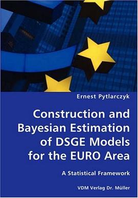 Construction and Bayesian Estimation of Dsge Models for the Euro Area- A Statistical Framework pdf epub mobi 電子書 下載