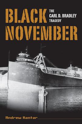 Black November pdf epub mobi 电子书 下载