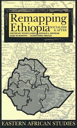 Remapping Ethiopia pdf epub mobi 下载