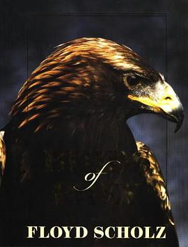 Birds of Prey pdf epub mobi 电子书 下载