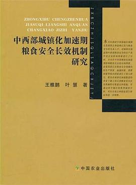 中西部城镇化加速期粮食安全长效机制研究 pdf epub mobi 电子书 下载