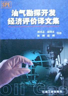 油气勘探开发经济评价译文集
