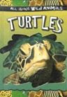 Turtles pdf epub mobi 电子书 下载