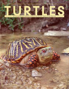 Turtles pdf epub mobi 电子书 下载