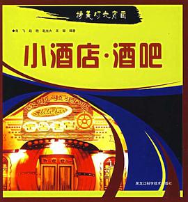 小酒店.酒吧-精美灯光店面 pdf epub mobi 电子书 下载