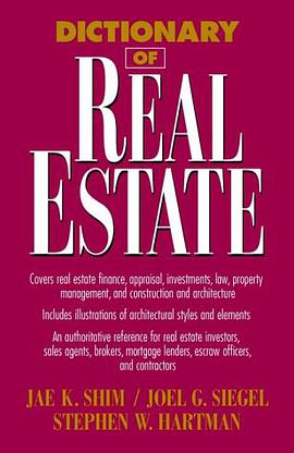 Dictionary of Real Estate (Business Dictionary Series) pdf epub mobi 电子书 下载