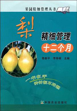 梨精细管理十二个月 pdf epub mobi 电子书 下载