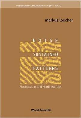 Noise Sustained Patterns pdf epub mobi 電子書 下載