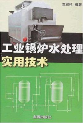工业锅炉水处理实用技术 pdf epub mobi 电子书 下载