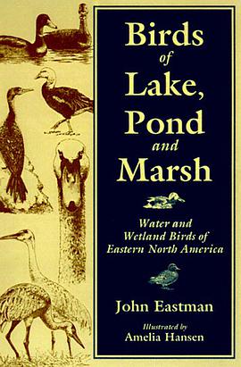 Birds of Lake, Pond and Marsh pdf epub mobi 电子书 下载
