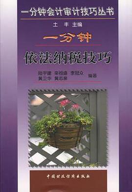 一分钟依法纳税技巧 pdf epub mobi 电子书 下载