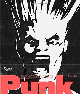 Punk pdf epub mobi 电子书 下载