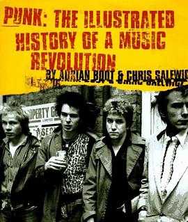 Punk pdf epub mobi 下载
